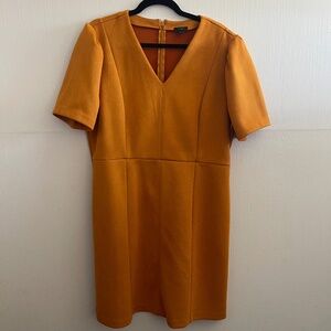 Ann Taylor Faux Suede Dress